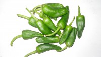 Pimientos del Padron 3kg